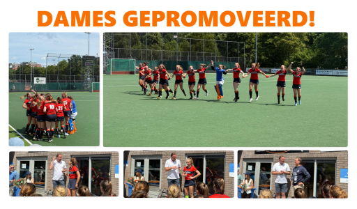 Nieuws